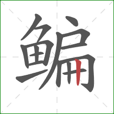 鳊的笔顺第17画：竖