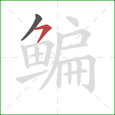 鳊的笔顺第2画：横撇