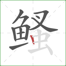 鳋的笔顺第12画：竖