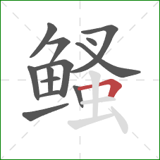 鳋的笔顺第13画：横折