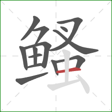 鳋的笔顺第14画：横