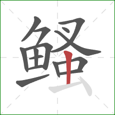 鳋的笔顺第15画：竖
