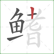 鳍的笔顺第10画：竖