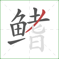 鳍的笔顺第12画：撇