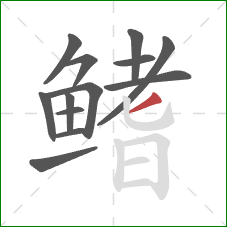 鳍的笔顺第13画：撇