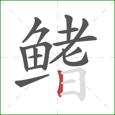 鳍的笔顺第15画：竖