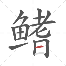 鳍的笔顺第17画：横