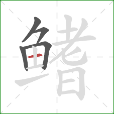 鳍的笔顺第5画：横