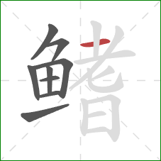 鳍的笔顺第9画：横