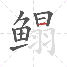 鳎的笔顺第12画：横