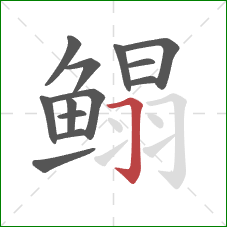 鳎的笔顺第13画：横折钩