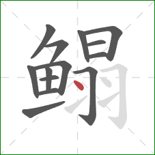 鳎的笔顺第14画：点