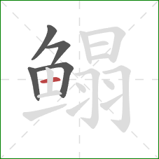 鳎的笔顺第5画：横