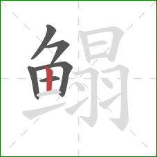 鳎的笔顺第6画：竖