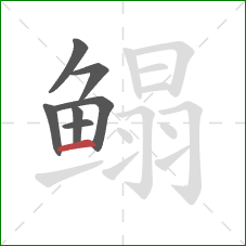 鳎的笔顺第7画：横