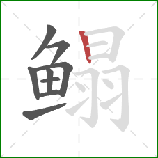 鳎的笔顺第9画：竖