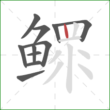 鳏的笔顺第11画：竖