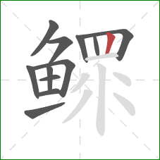 鳏的笔顺第12画：竖