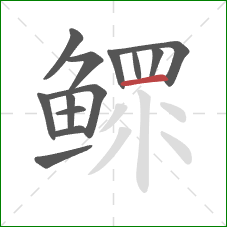 鳏的笔顺第13画：横