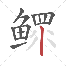 鳏的笔顺第14画：竖