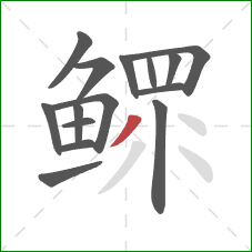 鳏的笔顺第15画：撇