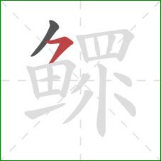 鳏的笔顺第2画：横撇