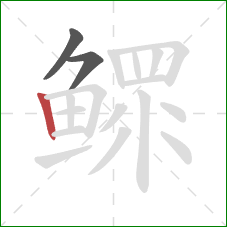 鳏的笔顺第3画：竖