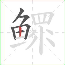 鳏的笔顺第6画：竖