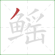 鳐的笔顺第1画：撇