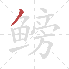 鳑的笔顺第1画：撇