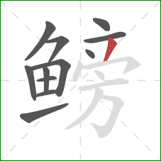 鳑的笔顺第12画：撇