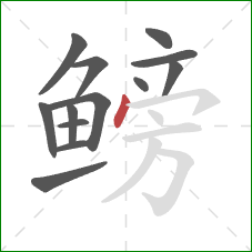 鳑的笔顺第13画：点