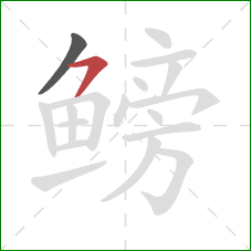 鳑的笔顺第2画：横撇