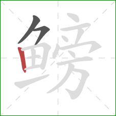 鳑的笔顺第3画：竖