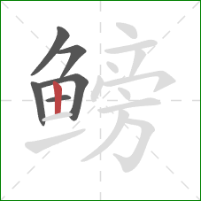 鳑的笔顺第6画：竖