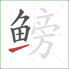 鳑的笔顺第8画：提