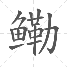鳓的笔顺