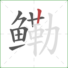 鳓的笔顺第11画：竖