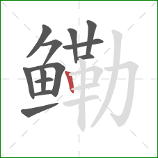 鳓的笔顺第13画：竖