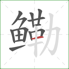 鳓的笔顺第15画：横