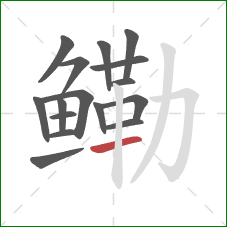 鳓的笔顺第16画：横