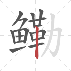 鳓的笔顺第17画：竖