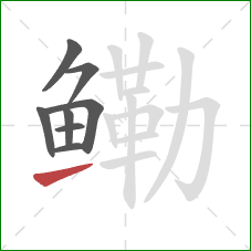 鳓的笔顺第8画：提