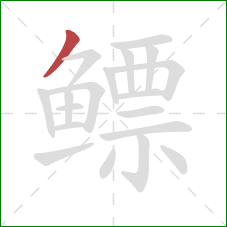 鳔的笔顺第1画：撇