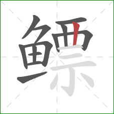 鳔的笔顺第13画：竖