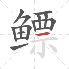 鳔的笔顺第15画：横