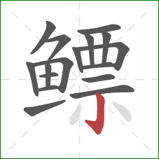 鳔的笔顺第17画：竖钩