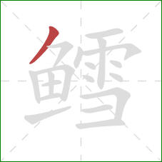 鳕的笔顺第1画：撇