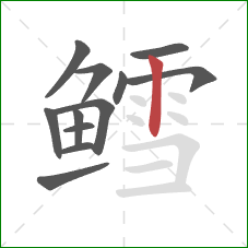 鳕的笔顺第12画：竖