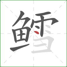 鳕的笔顺第14画：点